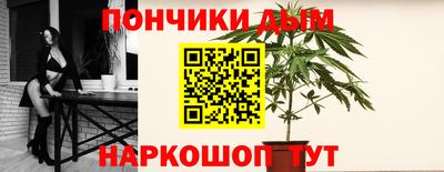 молекула духа Будённовск
