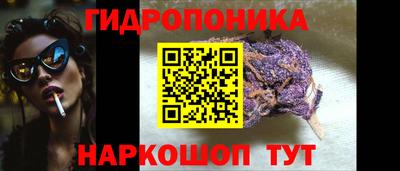 молекула духа Будённовск