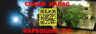 PSILOCYBIN Бугуруслан