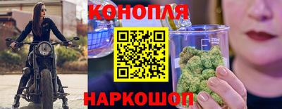 PSILOCYBIN Бугуруслан